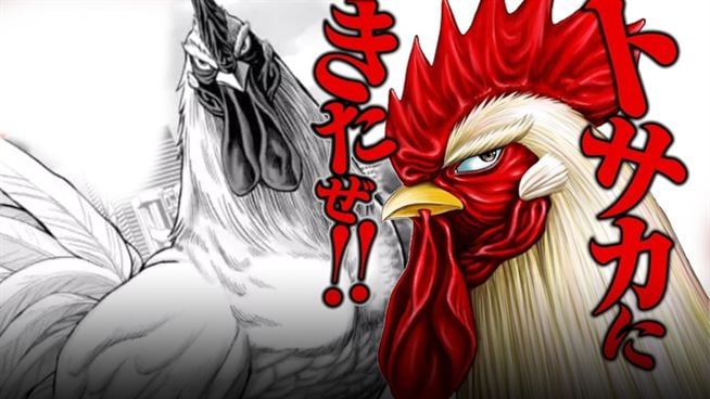 Official Manga Trailer  Rooster Fighter  VIZ  YouTube