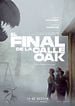 El final de la calle Oak